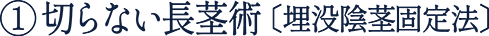 ① 切らない長茎術 〔埋没陰茎固定法〕